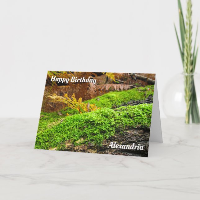 Latido de árvore no outono Moss - Cartão de aniver (Frente)