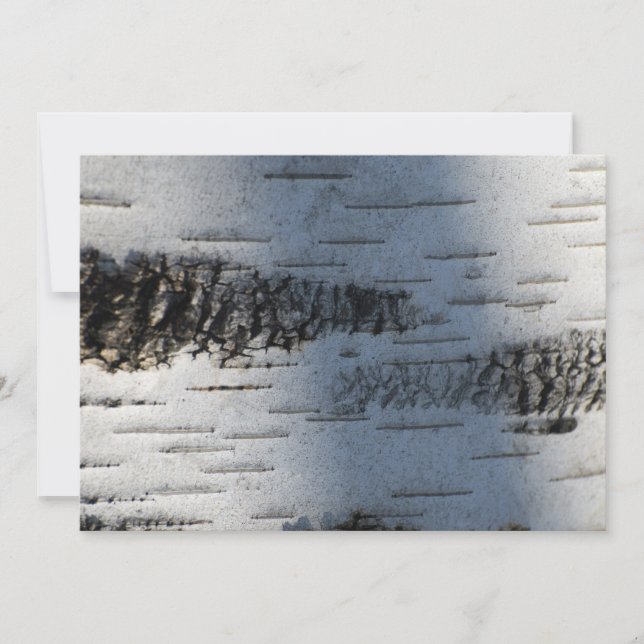 Latido de aves 1291 (Frente)