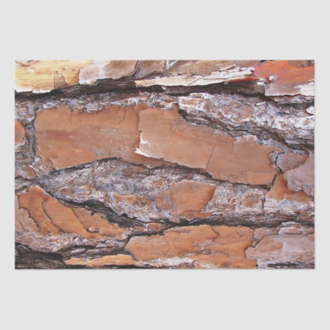 Latido De Papel Tecido (Frente )