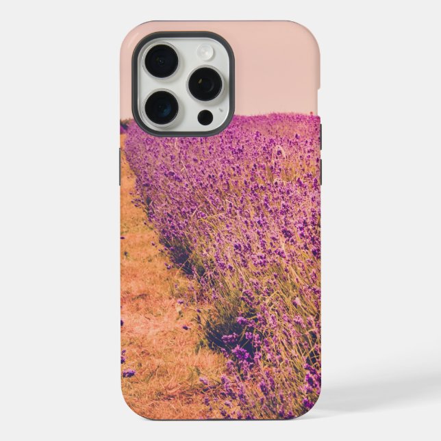 Lavanda (Verso)