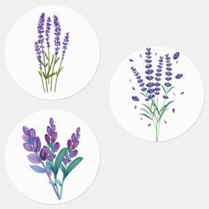 lavanda adesivos aquarelas flores herbáceas buquê