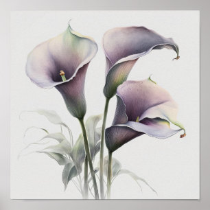 Lavanda Calla Lily Flower Art Impressão Poster