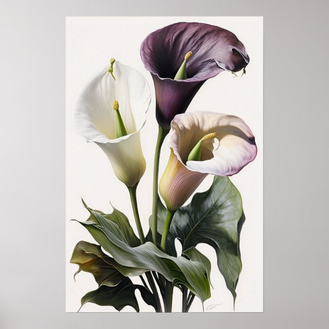Lavanda Calla Lily Flower Art Impressão Poster (Frente)