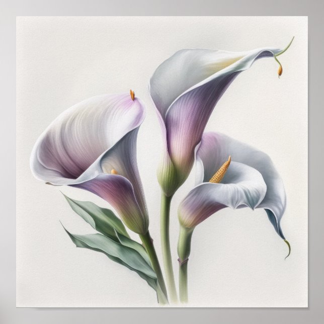 Lavanda Calla Lily Flower Art Impressão Poster (Frente)