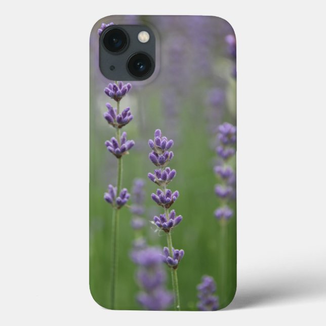 Lavanda de Daît mal existe caixa de ar iPad (Verso)