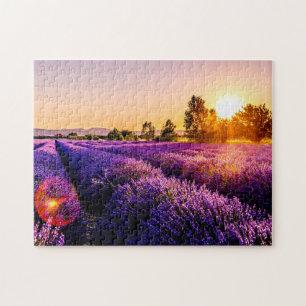 Lavanda De Quebra-cabeça Para Adultos