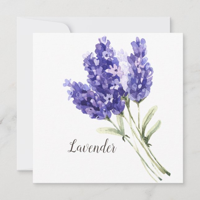 Lavanda Flores Cartão de Saudação de Vazio de Aqua (Frente)