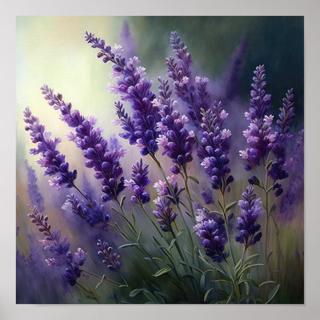 Lavanda Impressão de Flores de Poster (Frente)