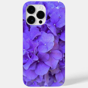 Lavanda lilás púrpura Hidrópias Púrpuras Flores