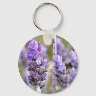 Lavanda no chaveiro da flor