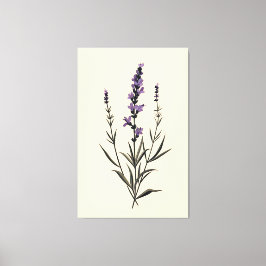 Lavanda sutil na Canvas de marfim