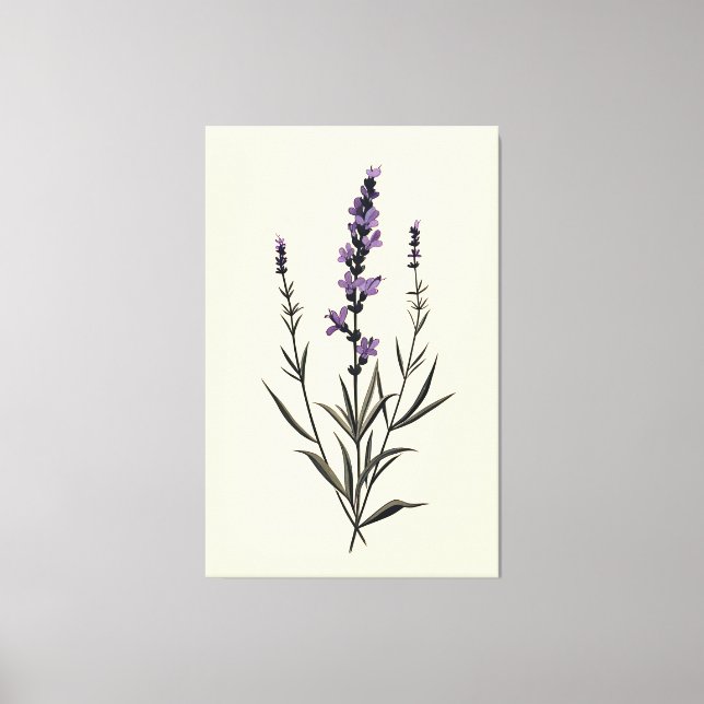 Lavanda sutil na Canvas de marfim (Frente)