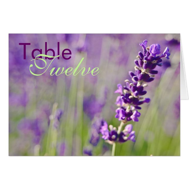 Lavendar • Cartão da mesa (Frente Horizontal)