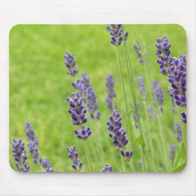 Lavendar Mousepad (Frente)
