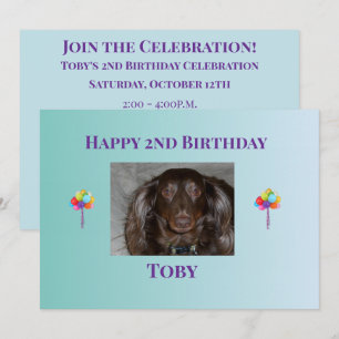 Layout de Convite de Aniversário de Pet com Céu Br