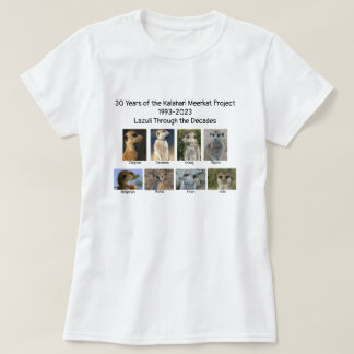 Lazuli, ao longo das décadas de T-Shirt