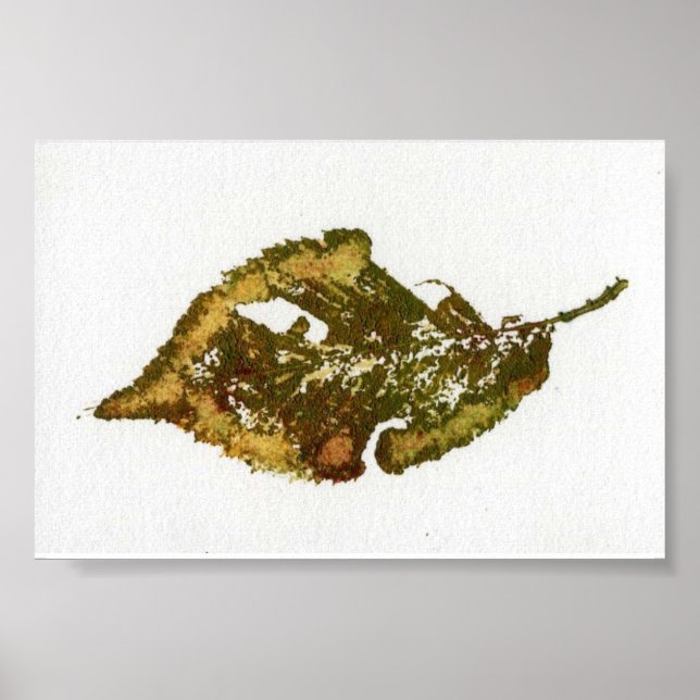 Leaf Nature Impressão MiniPoster (Frente)