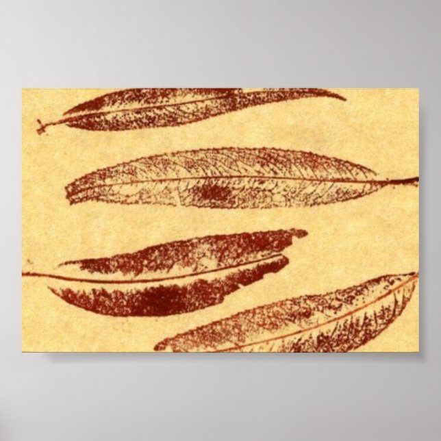 Leaf Nature Impressão MiniPoster (Frente)
