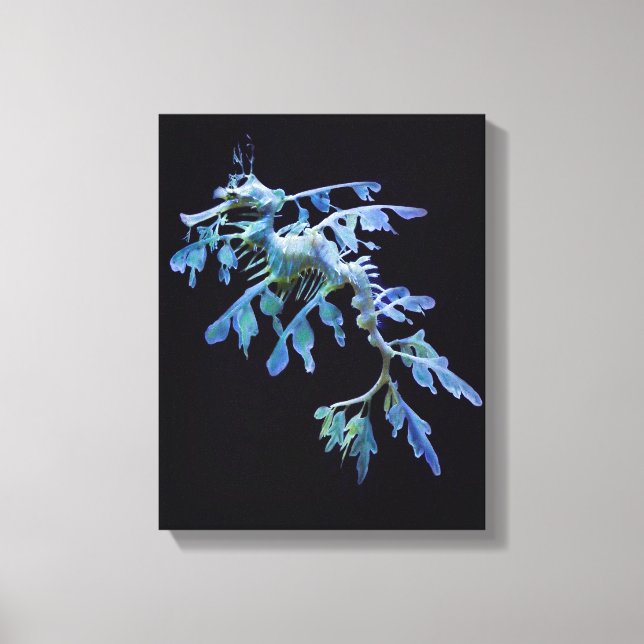 Leafy Sea Dragon Canvas (Frente)
