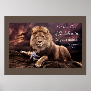 Leão da Revelação Judaica 5:5 Poster