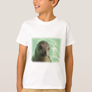 Leão de mar com o t-shirt do miúdo dos peixes