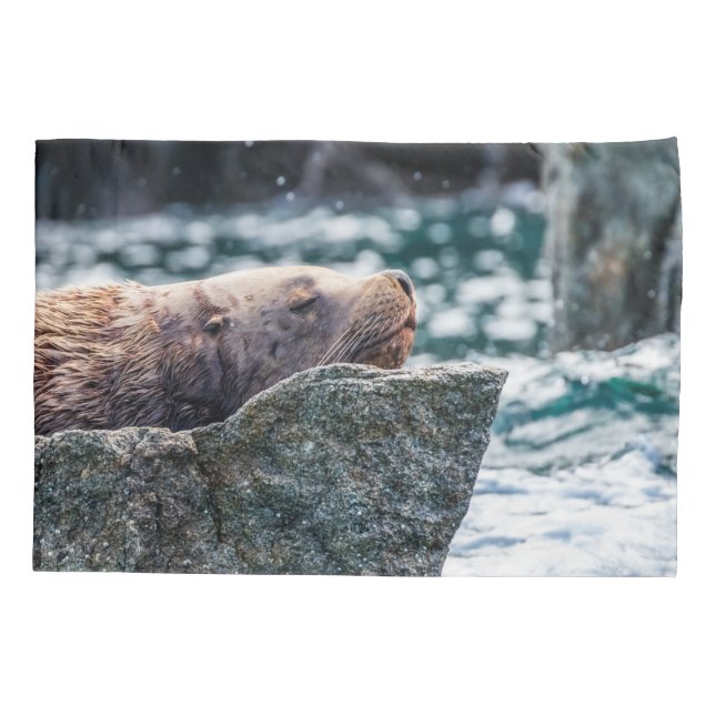 Leão-Do-Mar Na Baía De Ressurreição, Alasca (Verso)