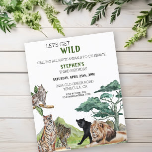 Leão Grandes Felinos Selva Safari Selvagem Anivers