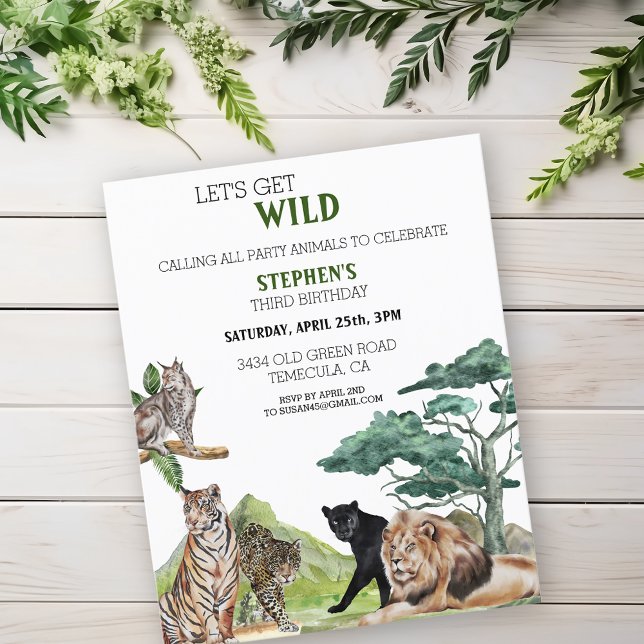 Leão Grandes Felinos Selva Safari Selvagem Anivers (Criador carregado)