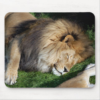 Leão Mousepad do sono