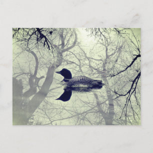 Leão preto e branco num cartão poste do lago