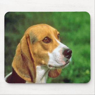 Lebreiro Mousepad