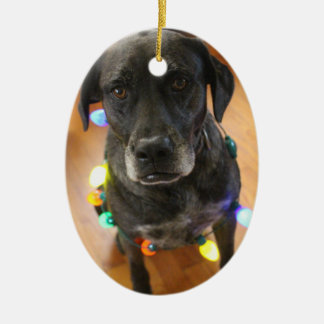 Lefy + Ornamento de Hoiday das luzes