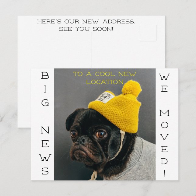 Legal novo local Cachorro! Cartão Postal (Frente/Verso)