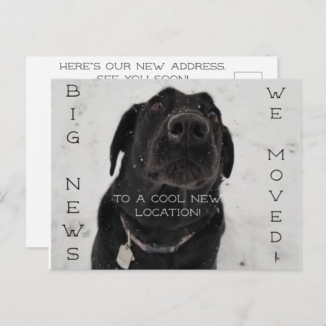 Legal novo local! Cartão Postal (Frente/Verso)