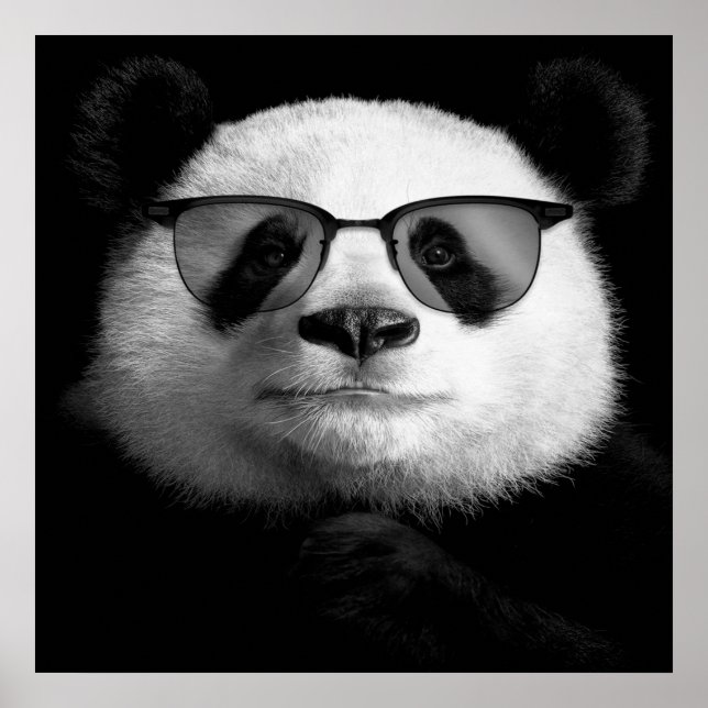 Legal Panda Poster | Panda Lover (Frente)
