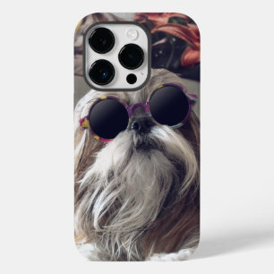 Legal Shih Tzu longos óculos de sol