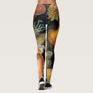 Legging A arte da natureza por Ernst Haeckel