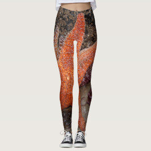 Legging A estrela do mar/estrelas de mar no canhão