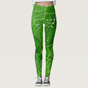 Legging A folha do jardim do verde da Web de aranha