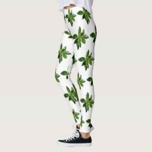 Legging A manjericão sae de caneleiras
