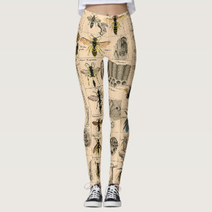 Legging Abelhas De Inseto Insetos Vaza História Natural