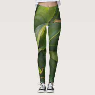 Legging Aloe Vera