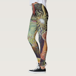 Legging Anêmona-do-Mar Natureza Científica Oceano