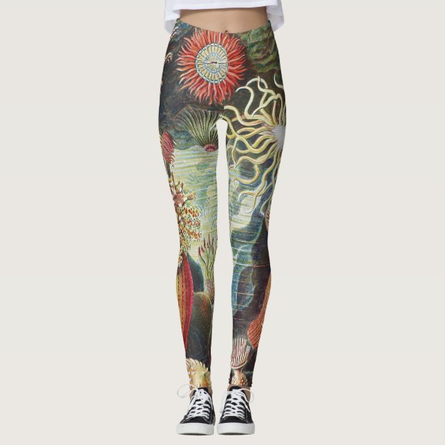 Legging Anêmonas-do-mar de Haeckel Colagem de arte náutica (Frente)