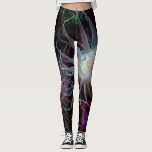 Legging Anemone Crimson