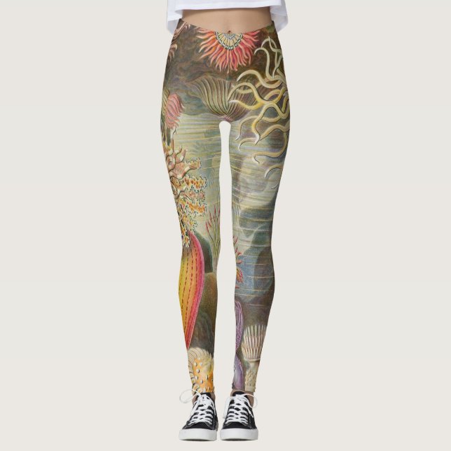 Legging Anenomos do mar por Ernst Haeckel (Frente)