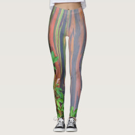 Legging Árvore Eucalipto Arco-íris