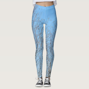Legging Árvores de inverno contra o céu azul