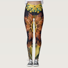 Legging Ascidiae por Ernst Haeckel, Animais Marinhos Antig