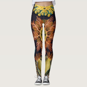 Legging Ascidiae por Ernst Haeckel, Animais Marinhos Antig